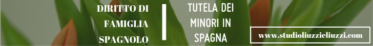 Consulenza ed assistenza legale a cittadini italiani- Tutela dei minori in Spagna Tutela dei minori in Spagna- assistenza legale